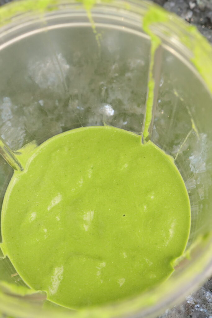 coriander chutney